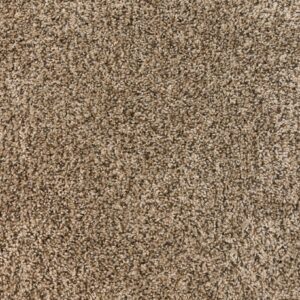 carpet flooring
